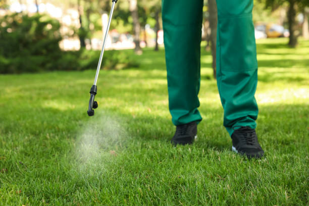 Best Commercial Pest Control Services  in Oldsmar, FL